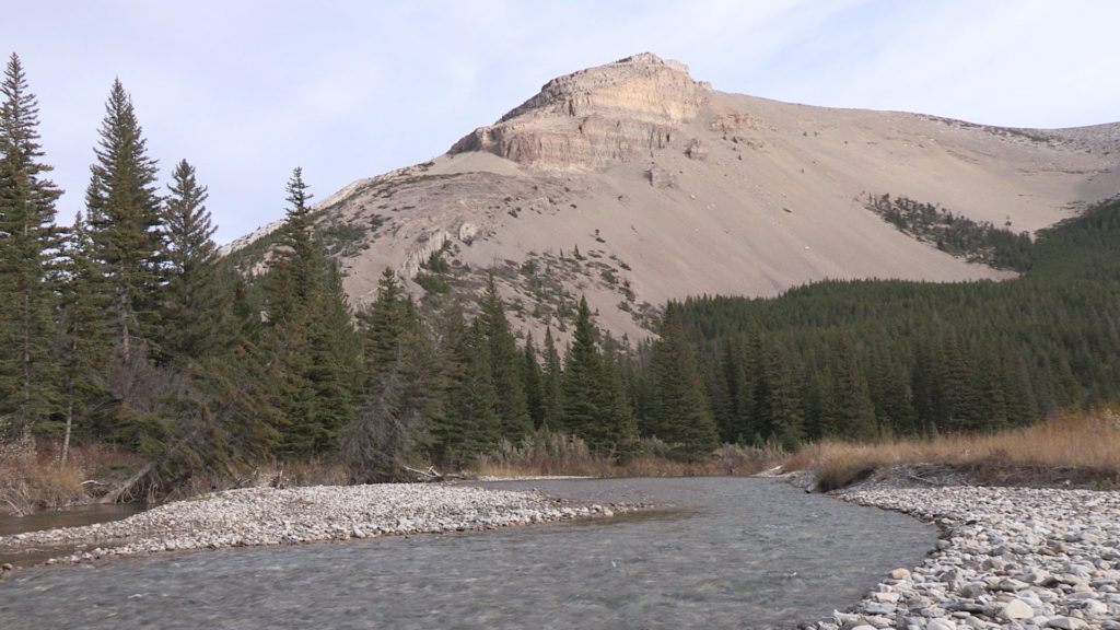 badger-creek-film-pix-landscape